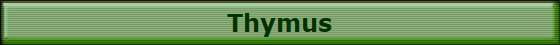 Thymus