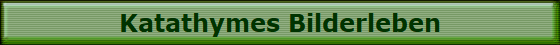Katathymes Bilderleben